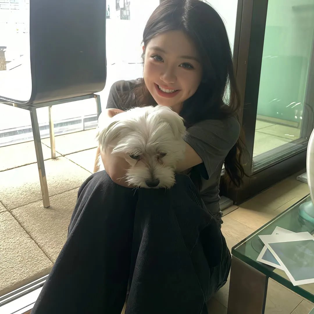 请给我寄粉丝信